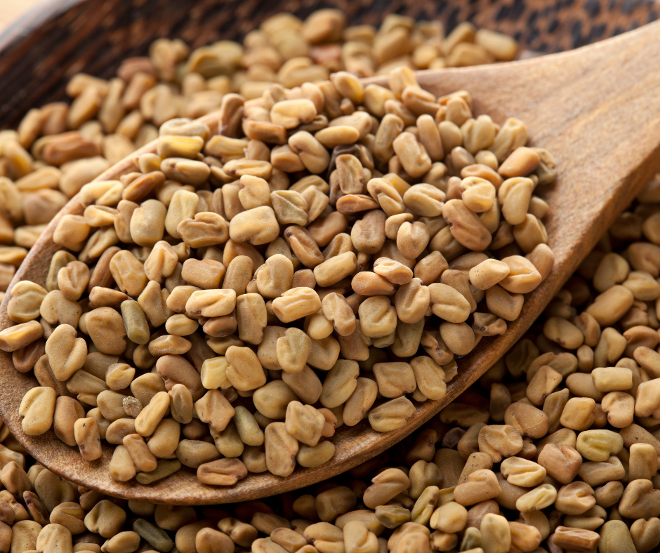 FENUGREEK SEEDS