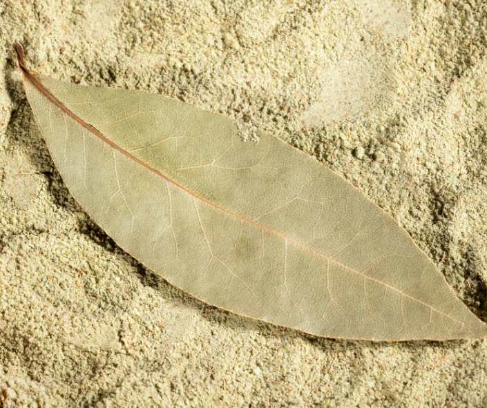 BAYLEAF POWDER - POUCH 50g