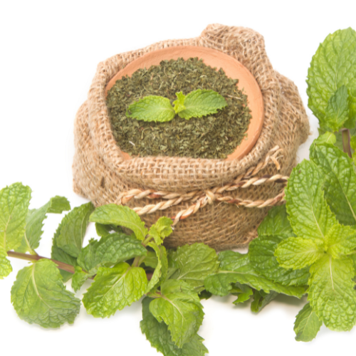 DRY MINT - POUCH 25g