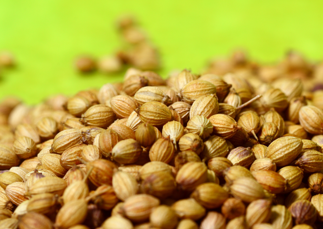 CORIANDER SEEDS