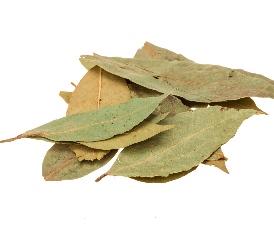 LAUREL LEAVES