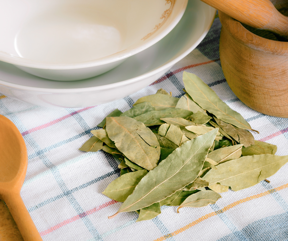 LAUREL LEAVES