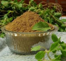 BASIL POWDER - 50g REFILL POUCH