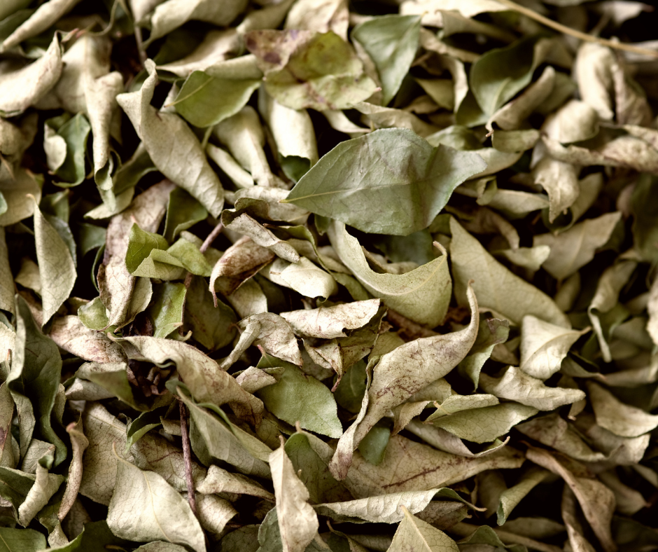 CURRY LEAVES - 10g REFILL POUCH