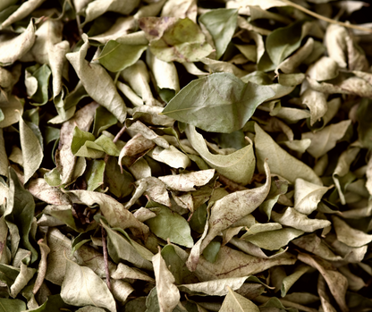 CURRY LEAVES - 10g REFILL POUCH