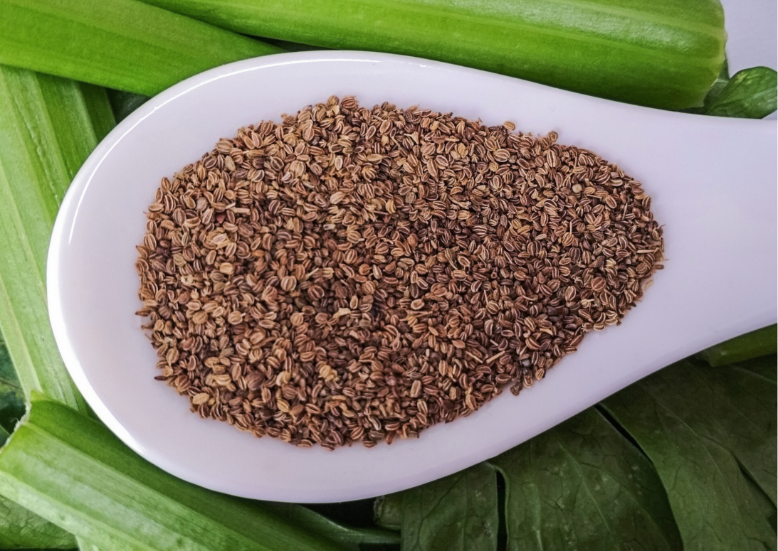 CELERY SEEDS - 50g REFILL POUCH