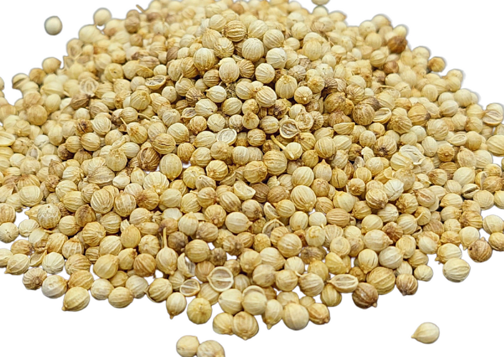 CORIANDER SEEDS