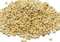CORIANDER SEEDS