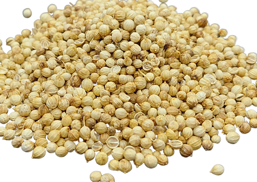 CORIANDER SEEDS - 25g REFILL POUCH