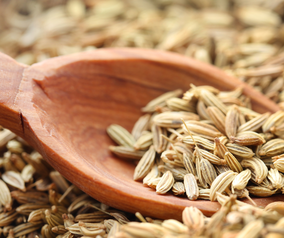 FENNEL SEEDS