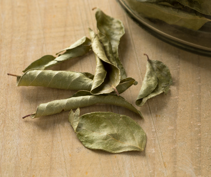 CURRY LEAVES - 10g REFILL POUCH