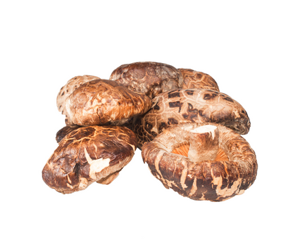 DRIED MUSHROOM SHITAKE