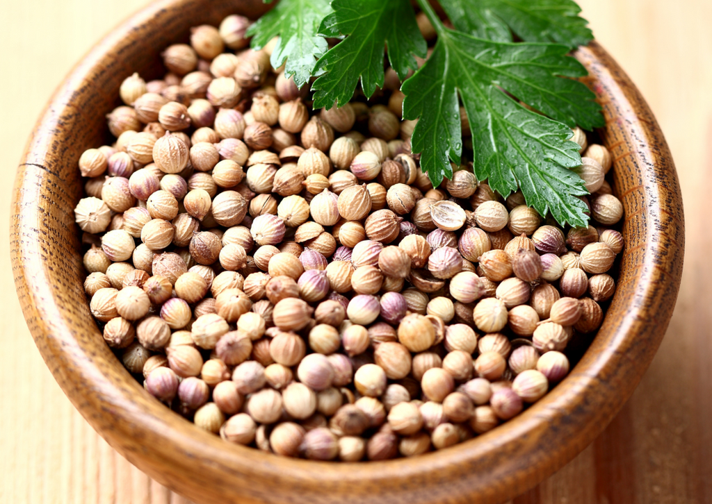 CORIANDER SEEDS