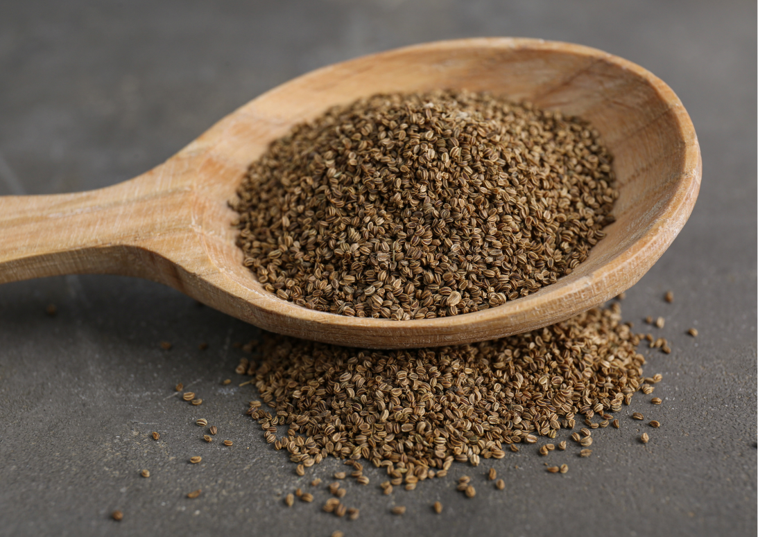 CELERY SEEDS - 50g REFILL POUCH