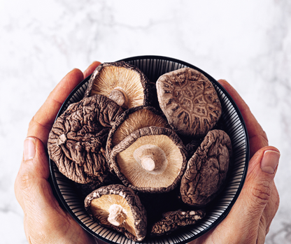DRIED MUSHROOM SHITAKE