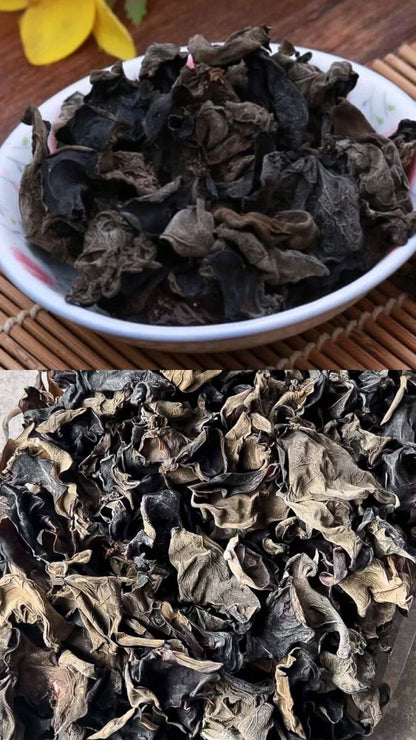 BLACK FUNGUS/TENGA NG DAGA