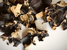 BLACK FUNGUS/TENGA NG DAGA